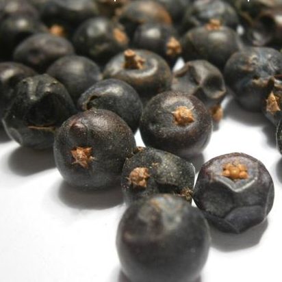 Bayas de enebro (Italia) - 30g